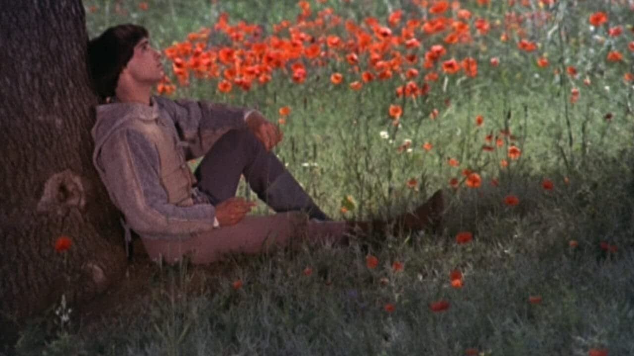 Brat Słońce, siostra Księżyc