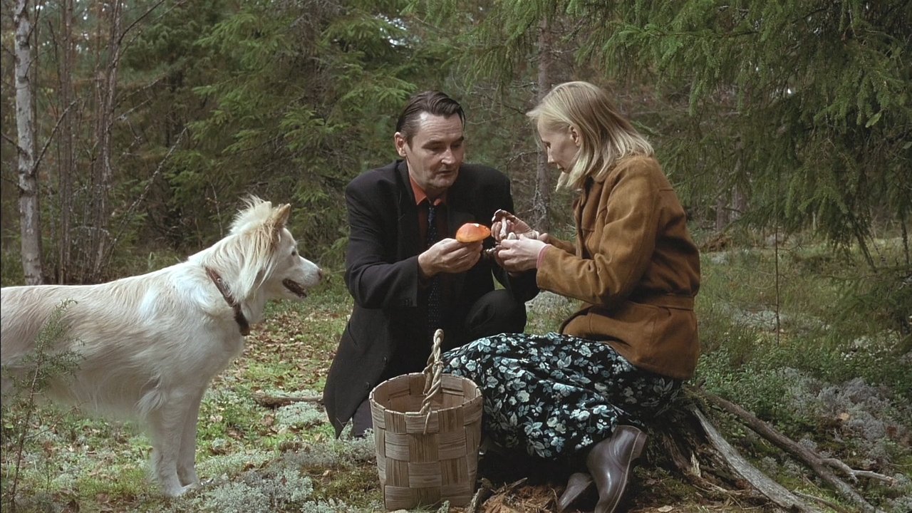 Człowiek bez przeszłości