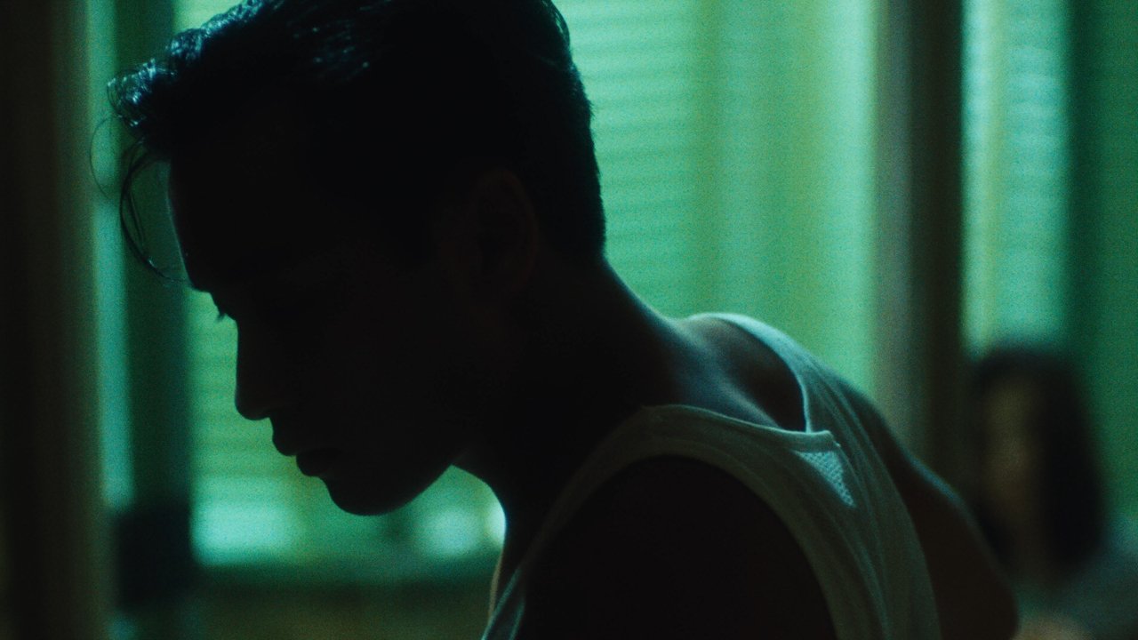 Dni naszego szaleństwa