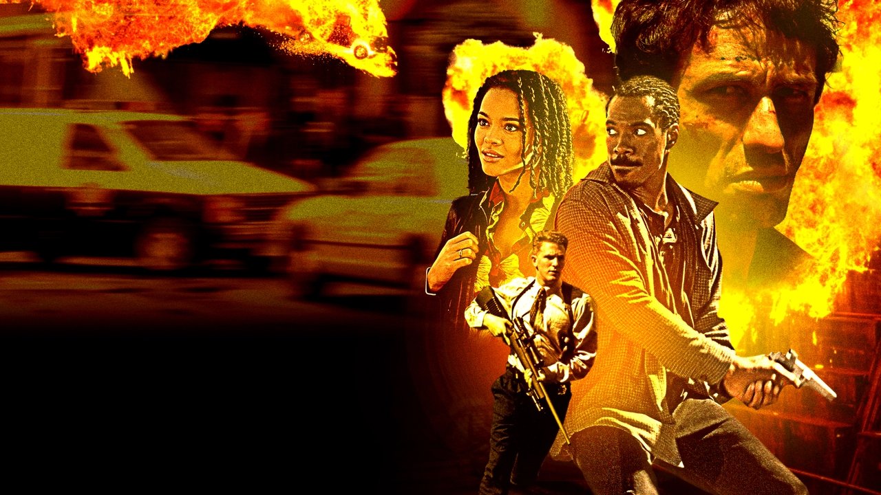 Gliniarz z metropolii