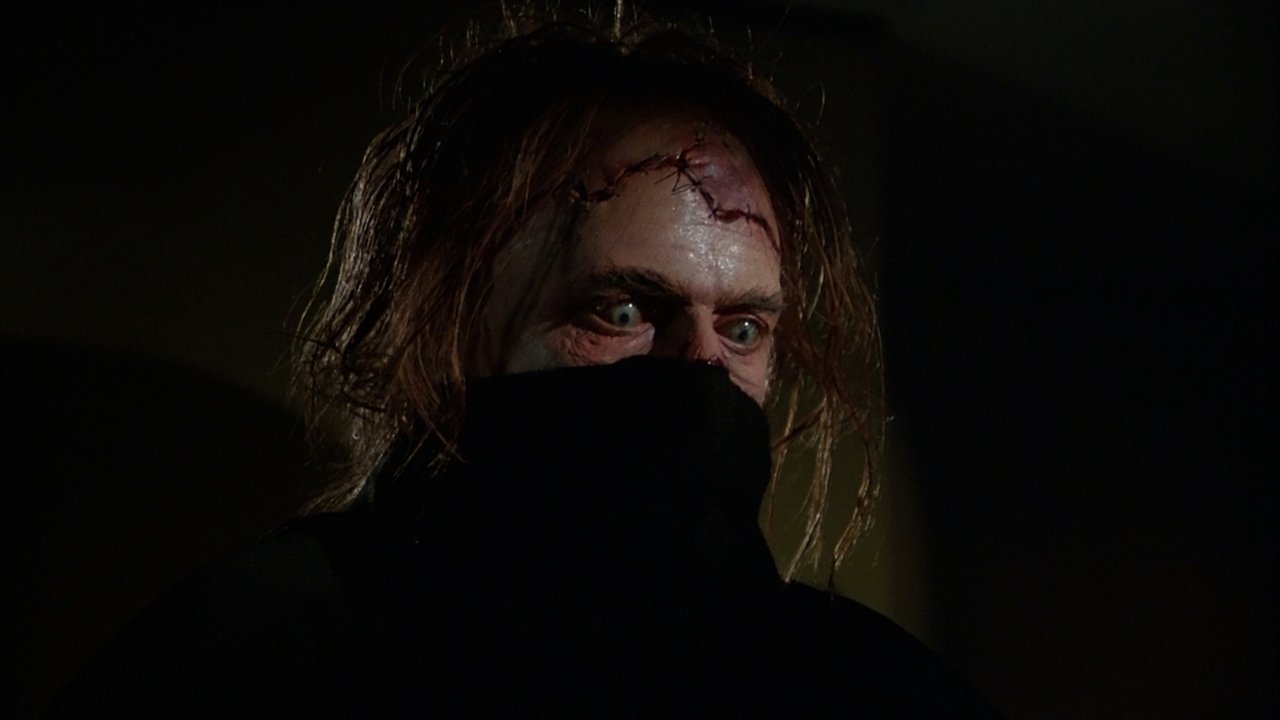 Hardcover w sztywnej okładce