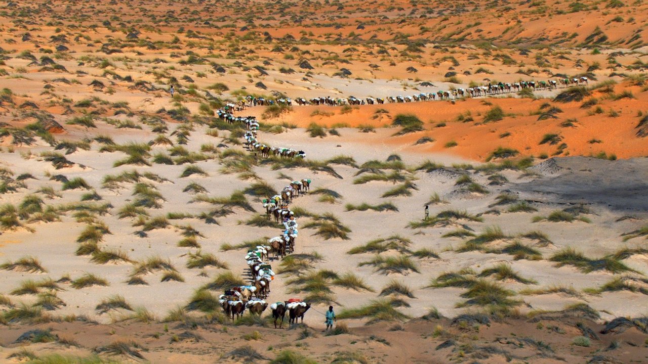 Home - S.O.S. Ziemia!