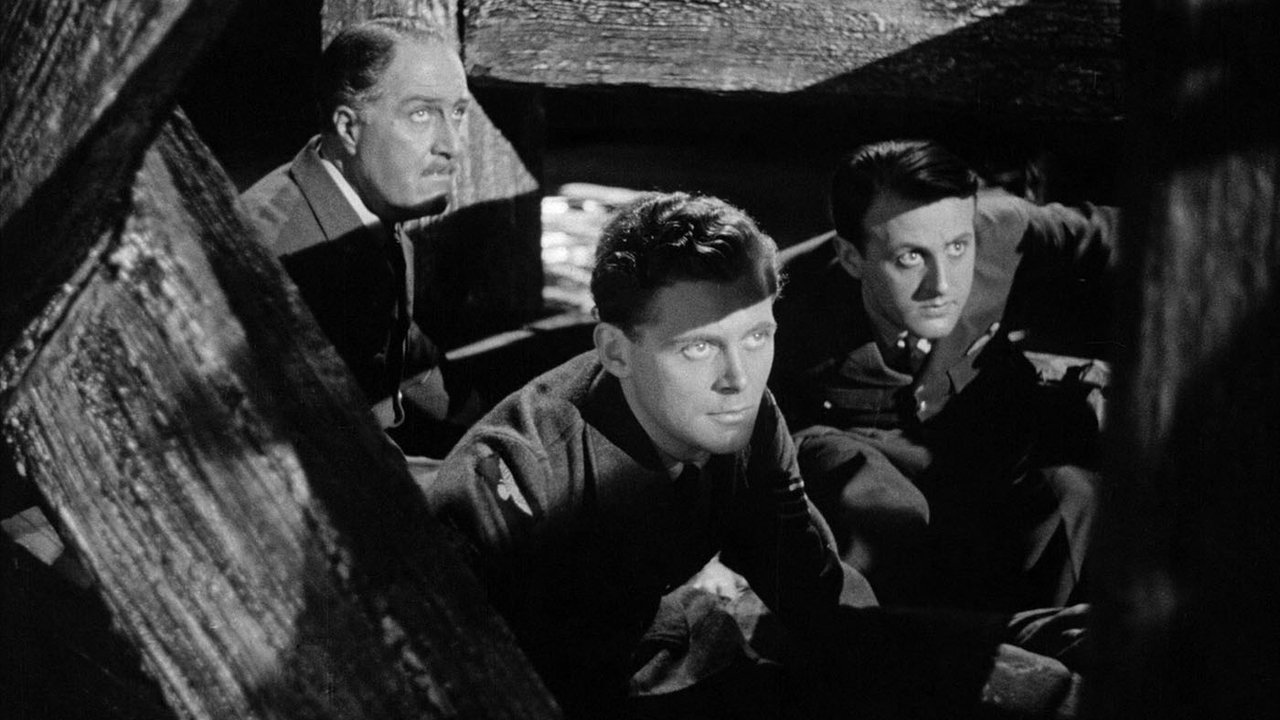 Jeden z naszych samolotów zaginął