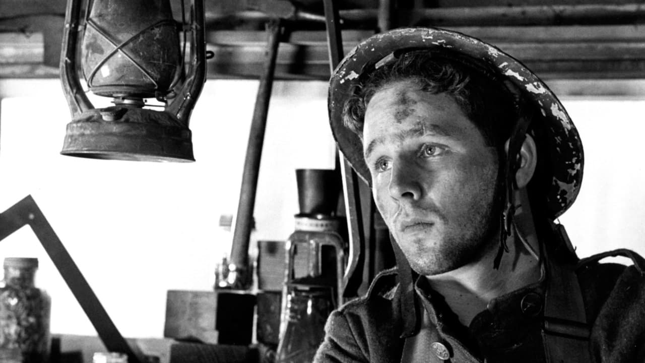 Johnny Poszedł na Wojnę