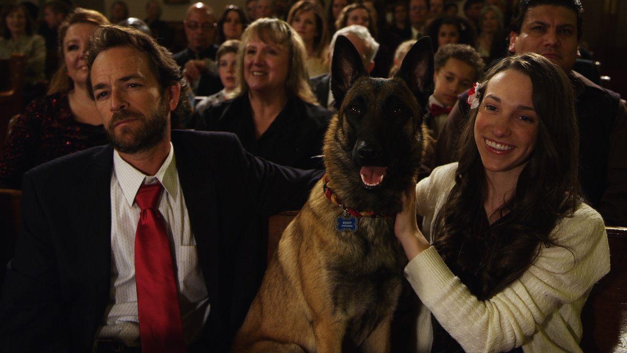 K-9: Pies, który uratował święta