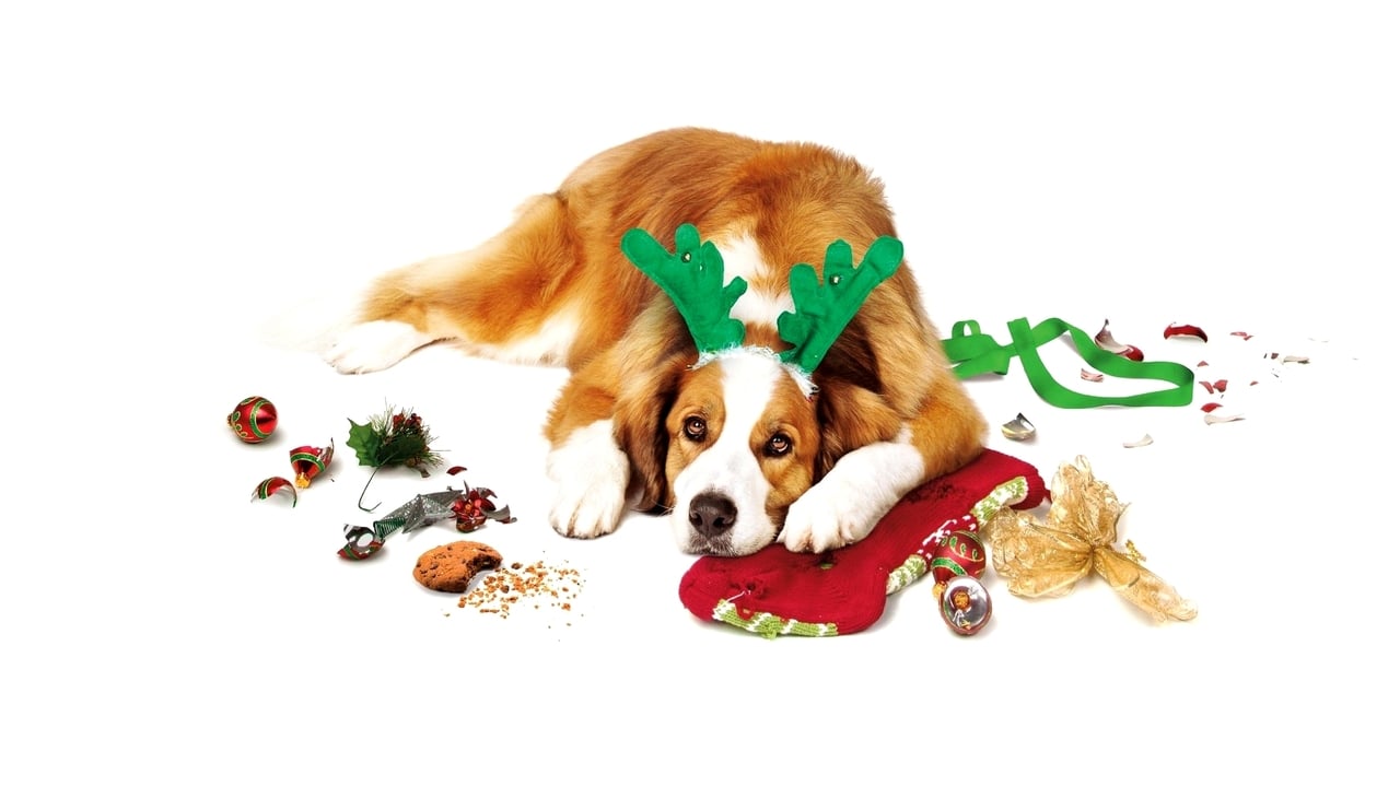 Kochajmy się od Święta