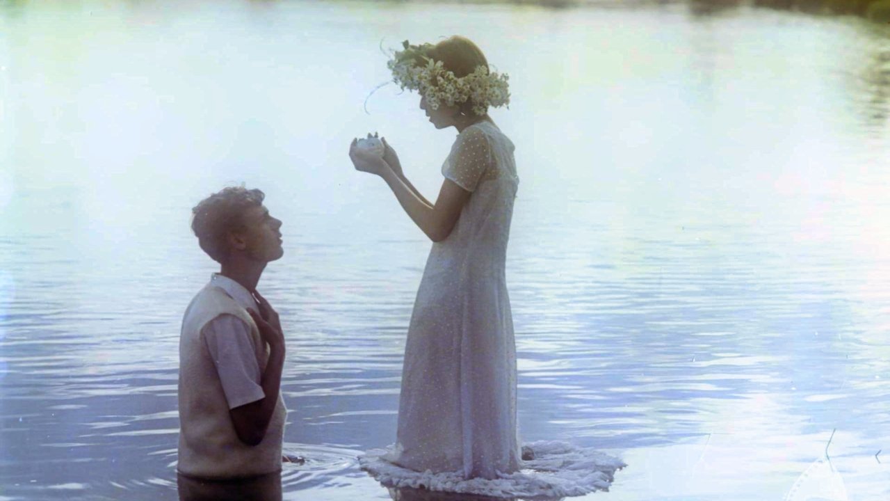 Kronika wypadków miłosnych