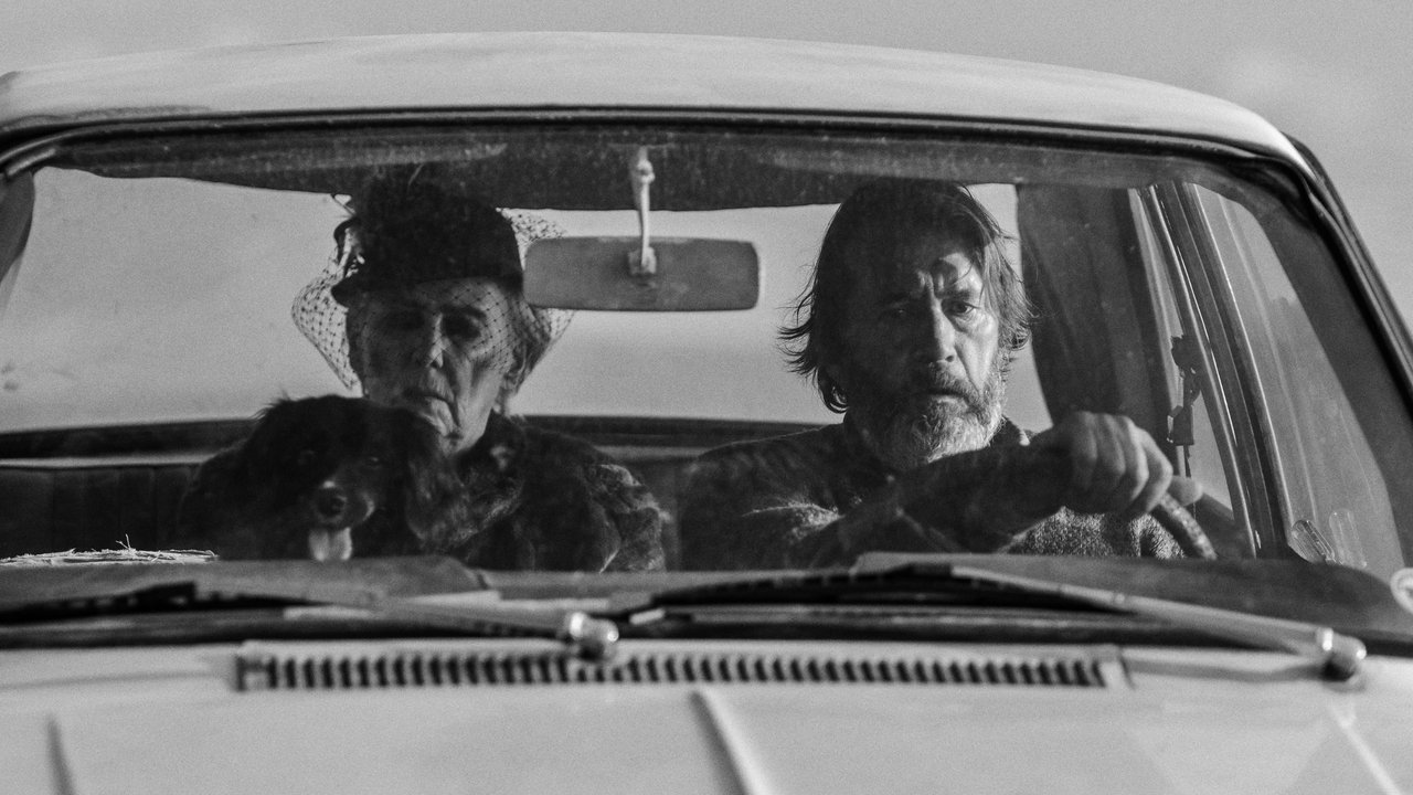 Matka siedzi z tyłu