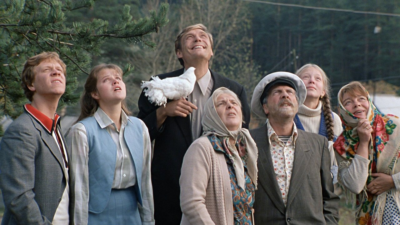 Miłość i gołębie