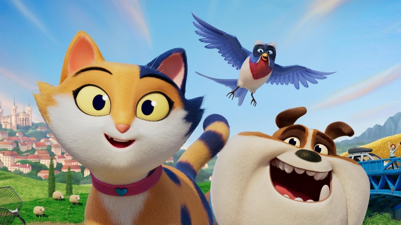 Miss Moxy. Kocia ekipa