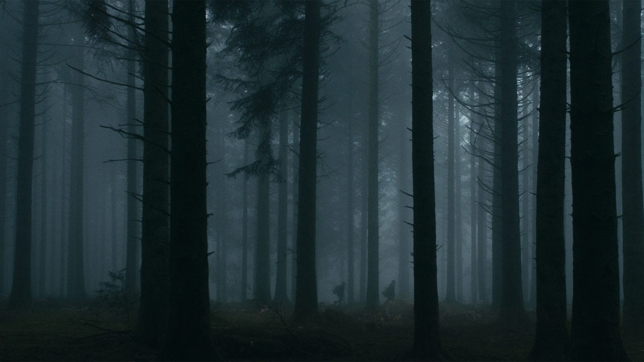 Mroczne serce lasu