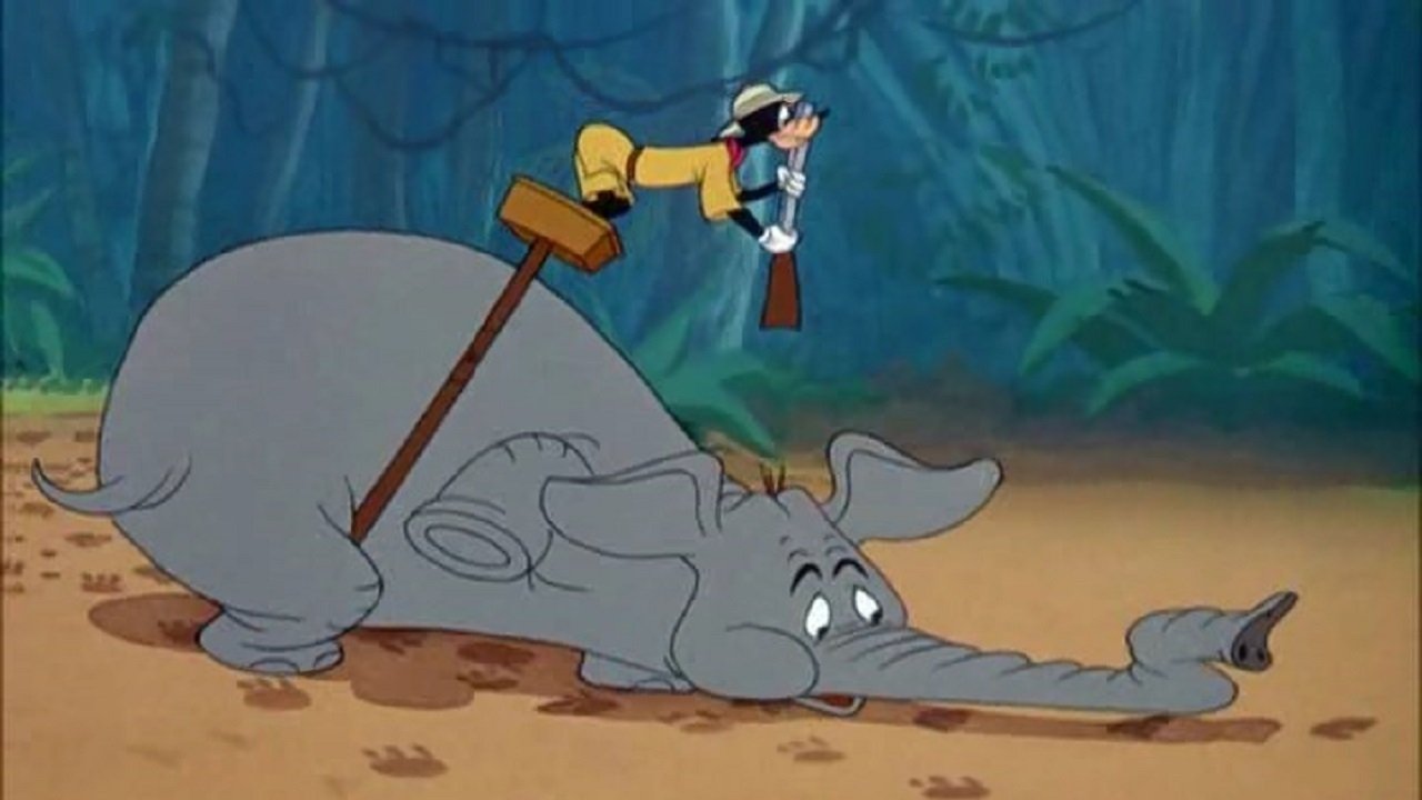 Oko w oko z tygrysem