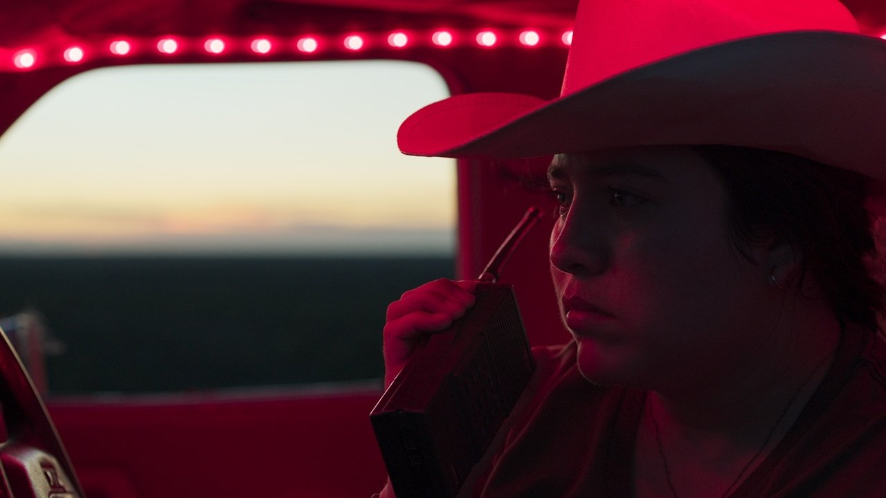 Północne niebo nad pustką