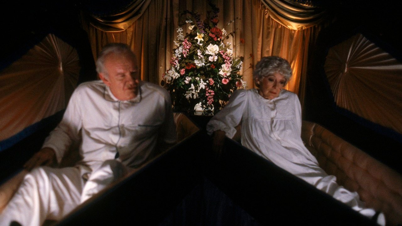 Powrót do miasteczka Salem