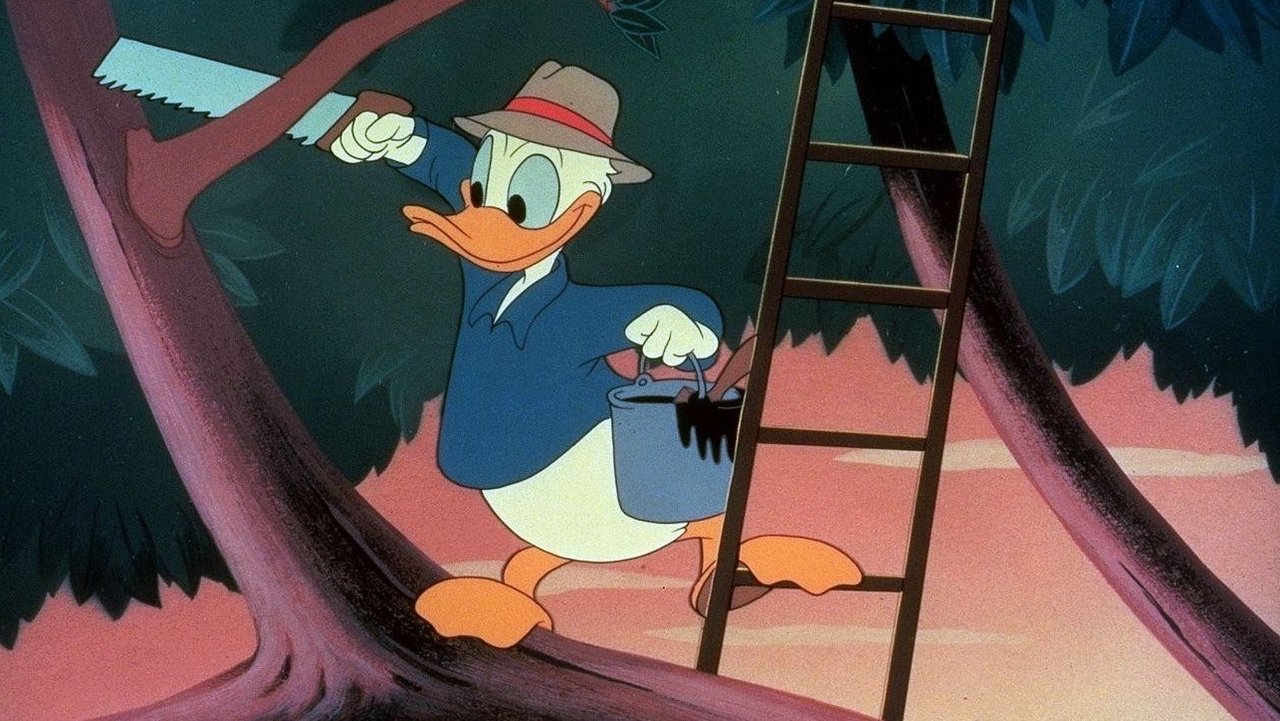 Przykra niespodzianka