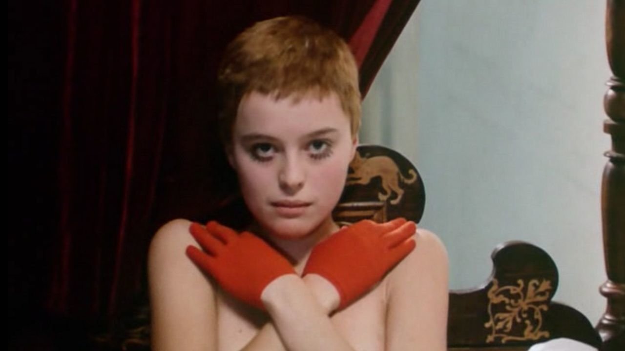 Ptaszki, sieroty i głupcy