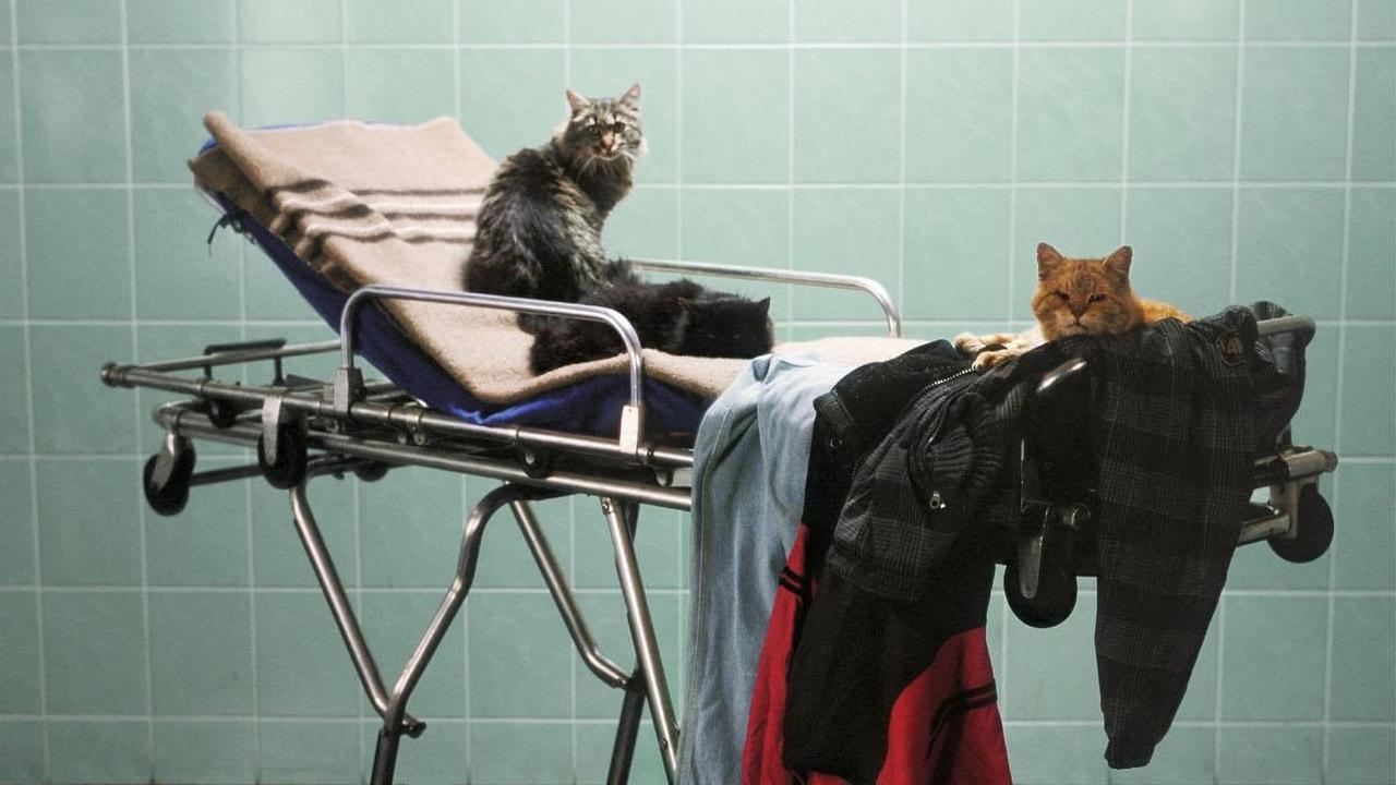 Śmierć pana Lazarescu