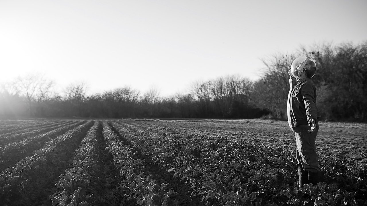 Ten pies wciąż szczeka