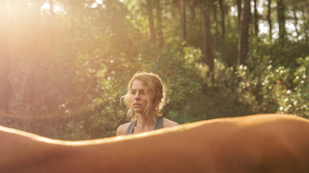 Wszystkie piękne koniki