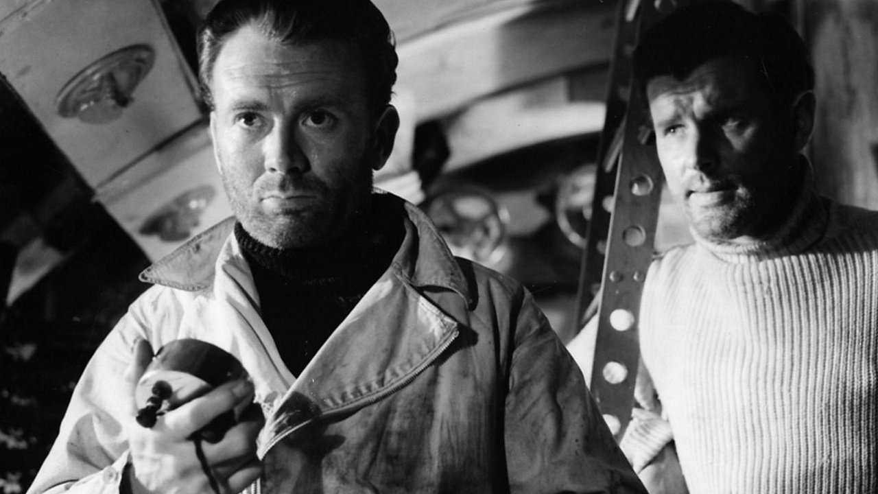 Zanurzamy się o świcie