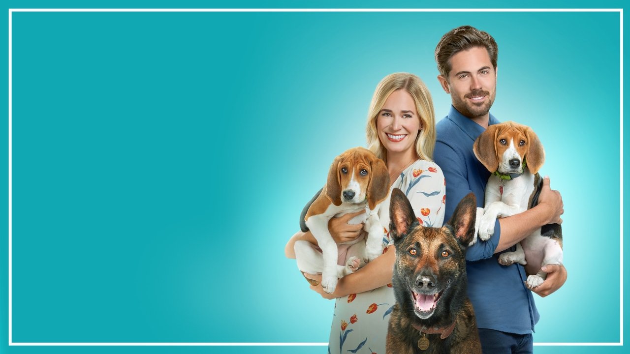 Złapać miłość za ogon