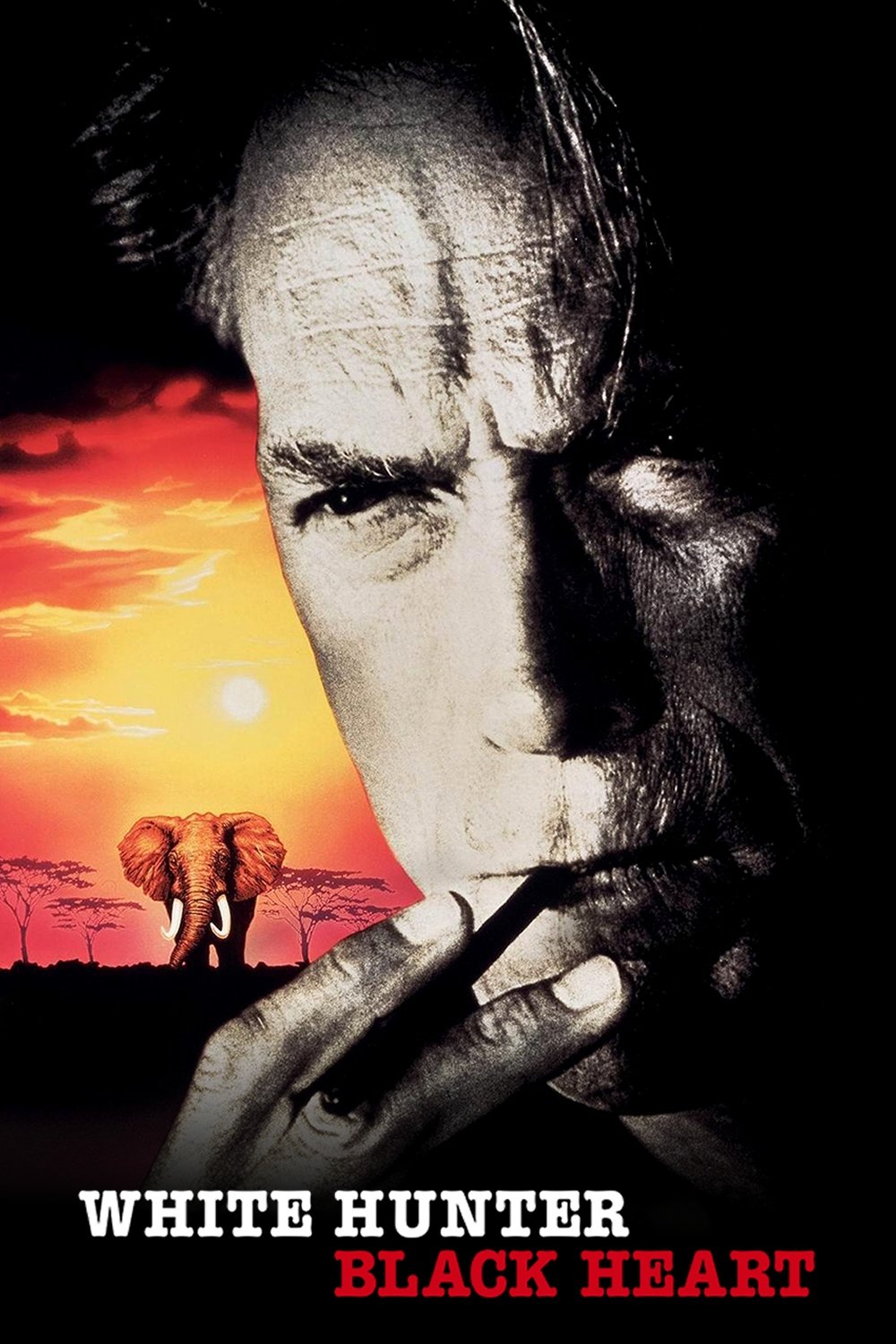 Oglądaj Biały Myśliwy, Czarne Serce