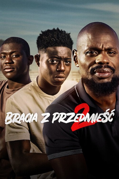 Oglądaj Bracia z przedmieść 2