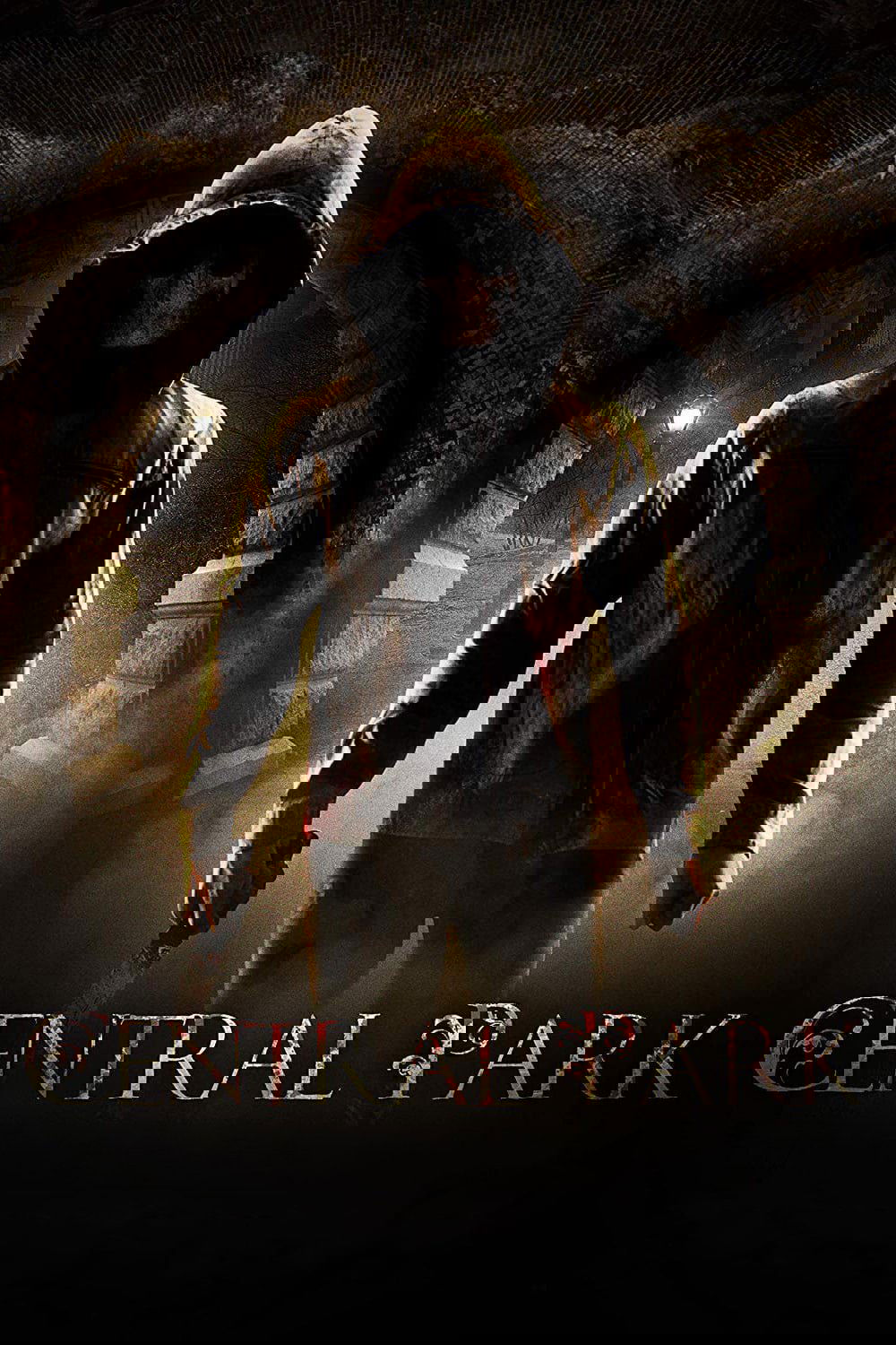 Oglądaj Central Park