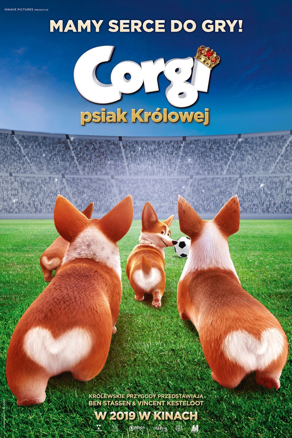 Oglądaj Corgi, psiak królowej