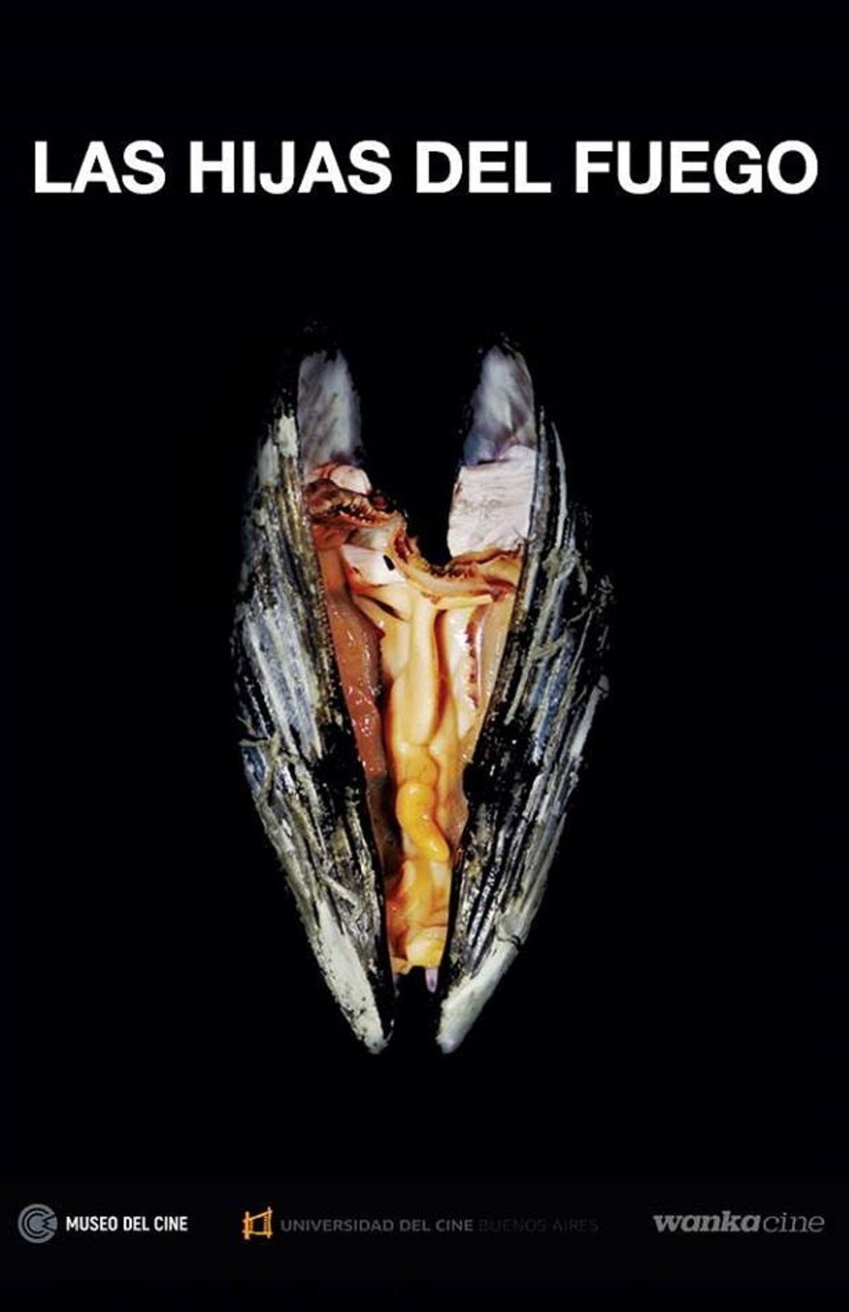 Oglądaj Córki ognia