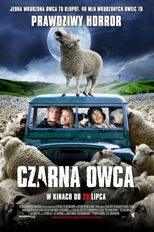 Oglądaj Czarna owca