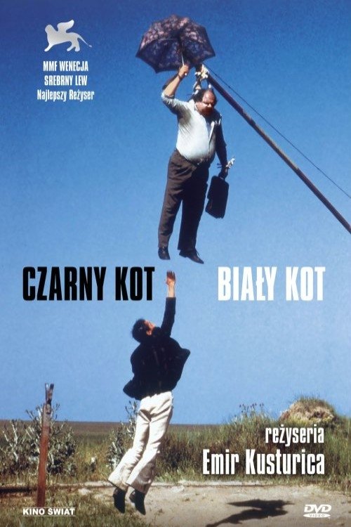 Oglądaj Czarny kot, biały kot