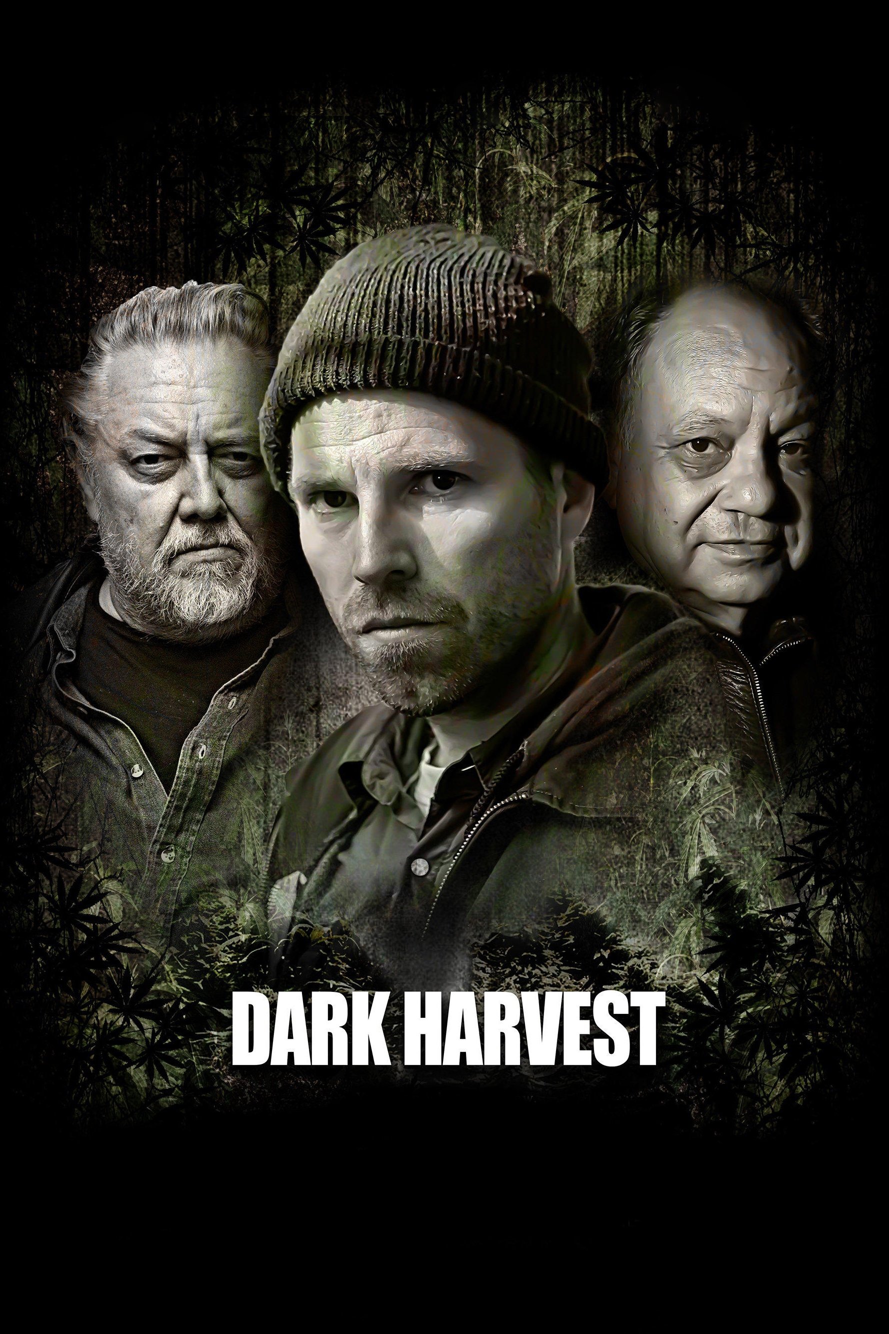 Oglądaj Dark Harvest