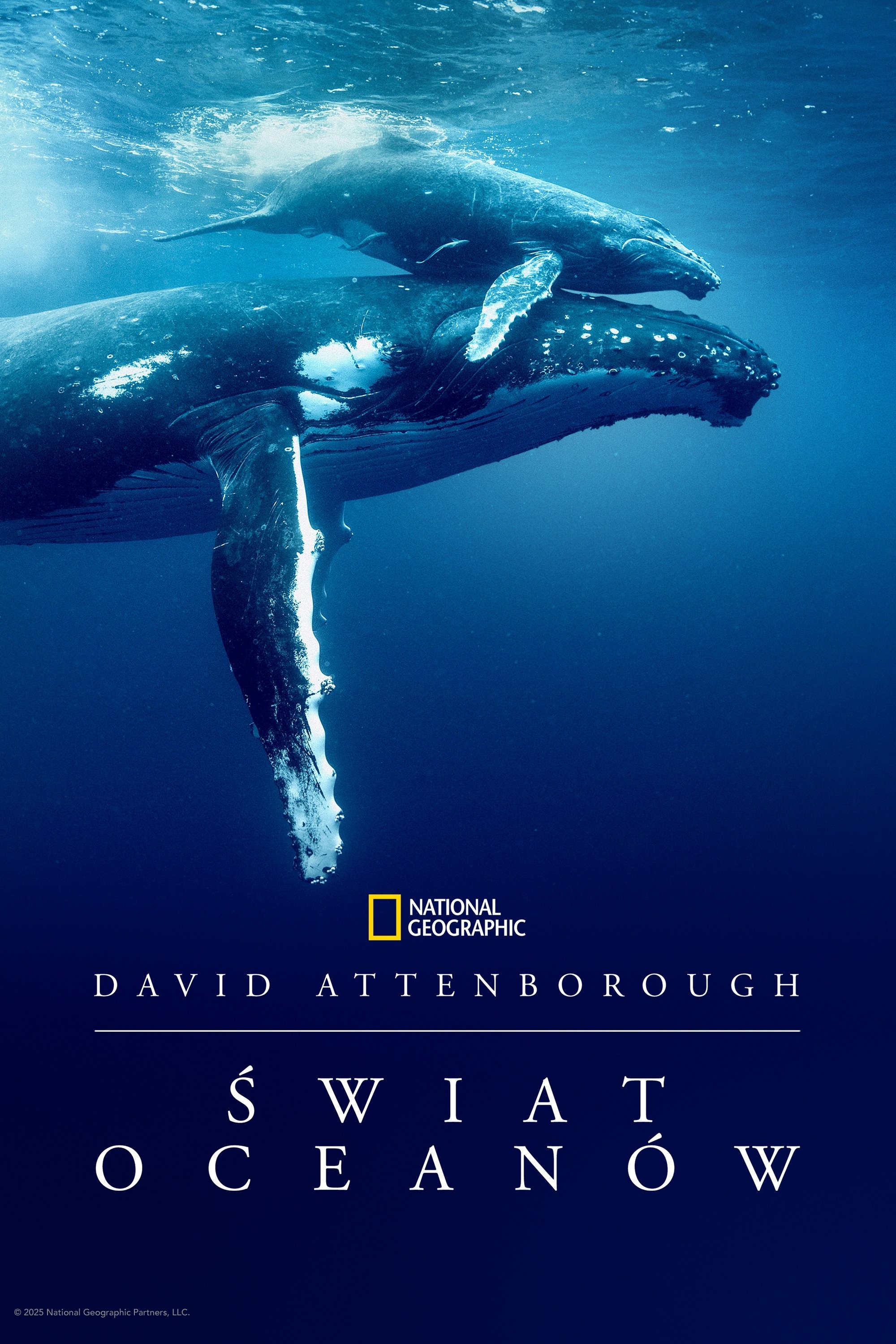 Oglądaj David Attenborough Świat oceanów