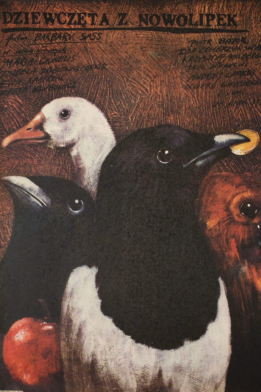 Oglądaj Dziewczęta z Nowolipek