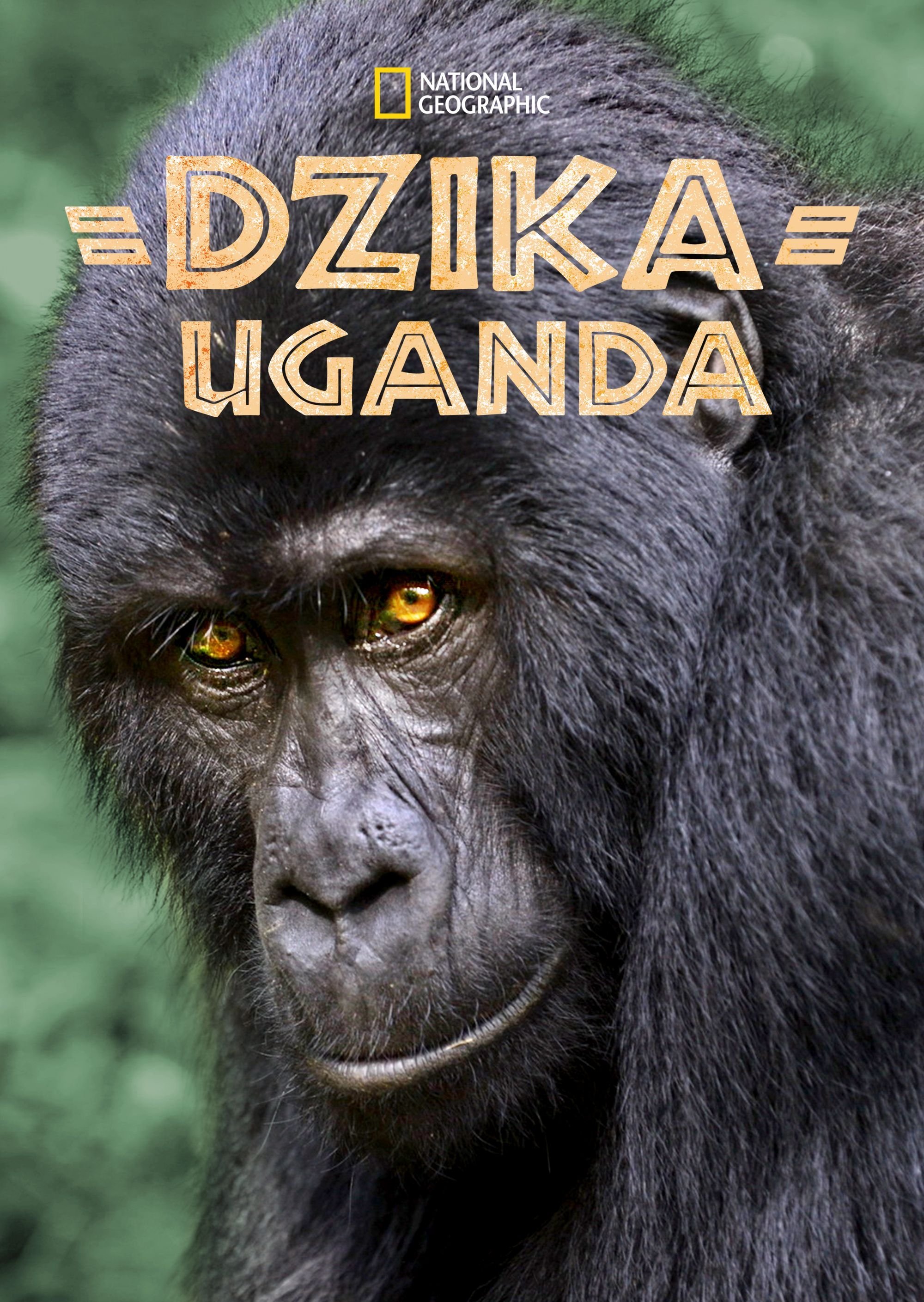 Oglądaj Dzika Uganda