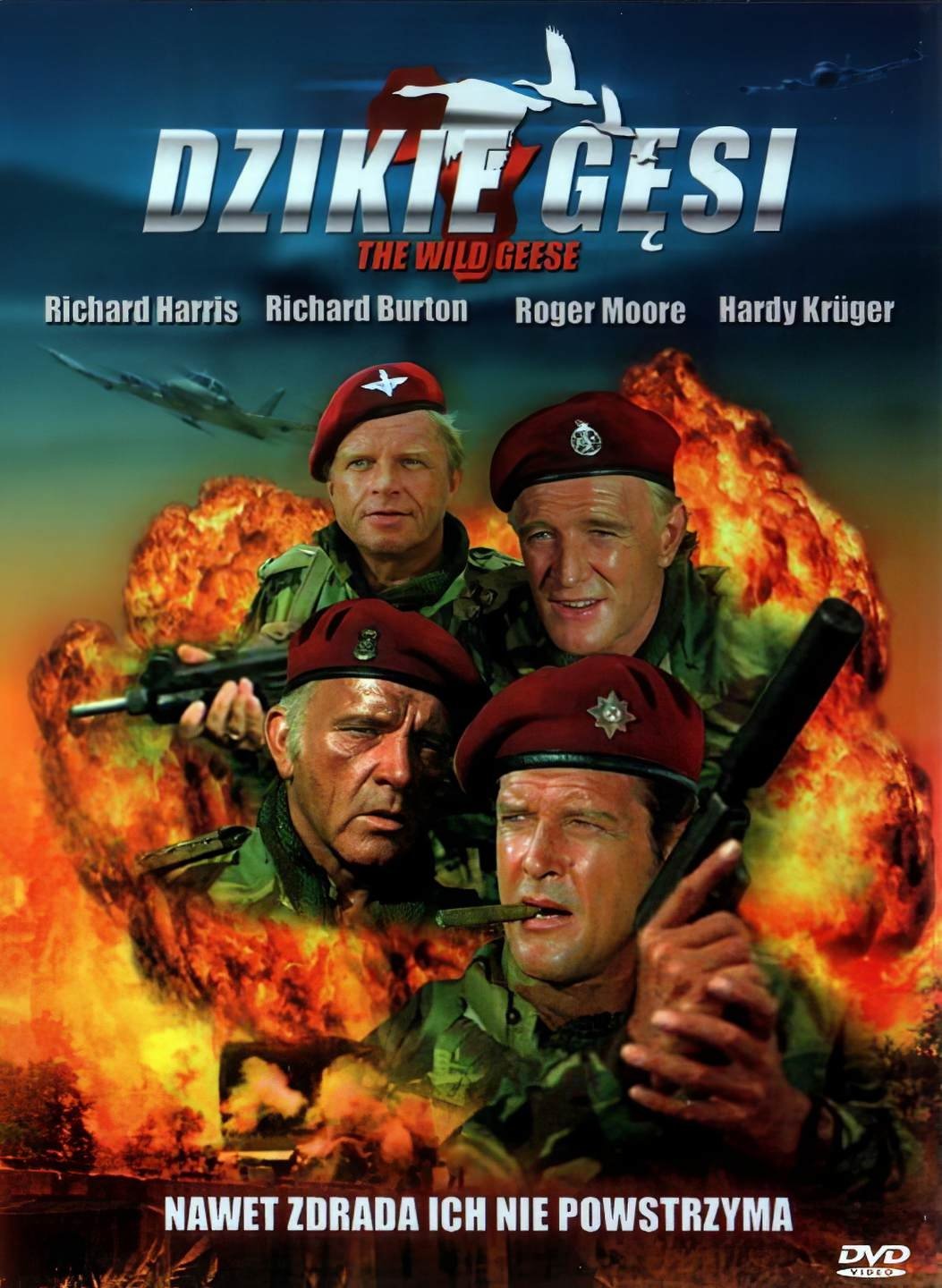 Oglądaj Dzikie gęsi