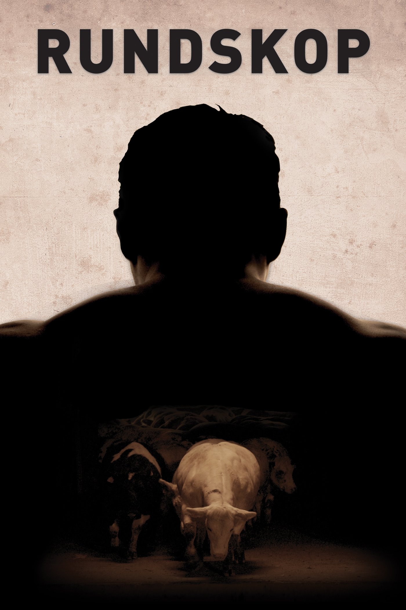 Oglądaj Głowa byka