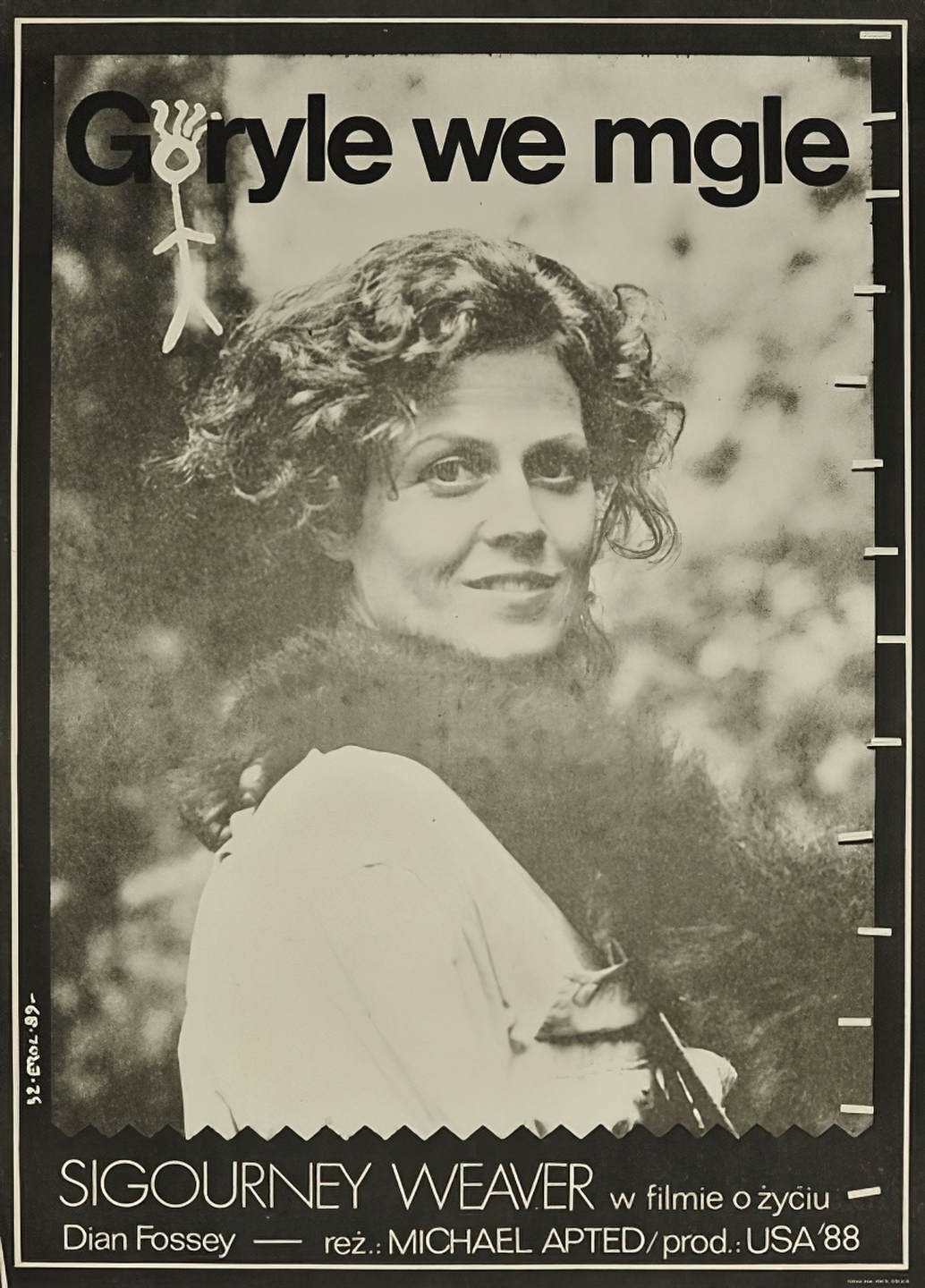 Oglądaj Goryle we mgle