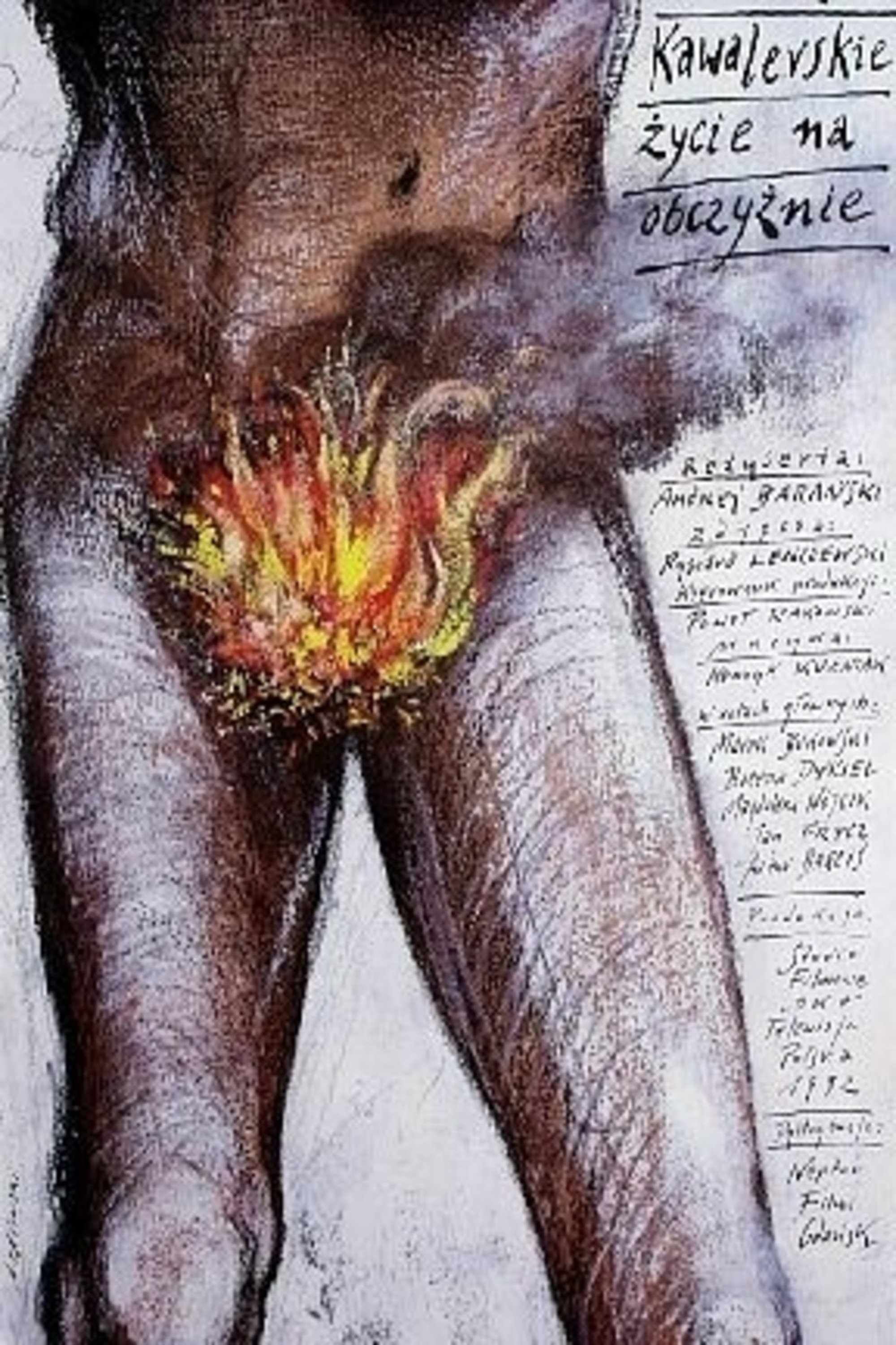 Oglądaj Kawalerskie życie na obczyźnie