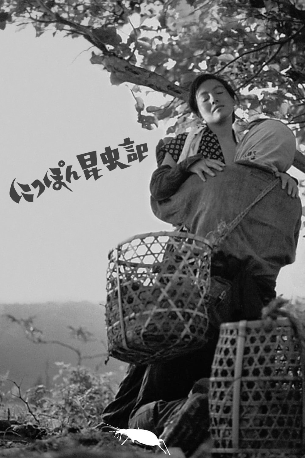 Oglądaj Kobieta owad