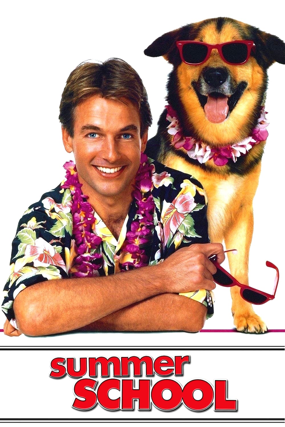 Oglądaj Letnia szkoła