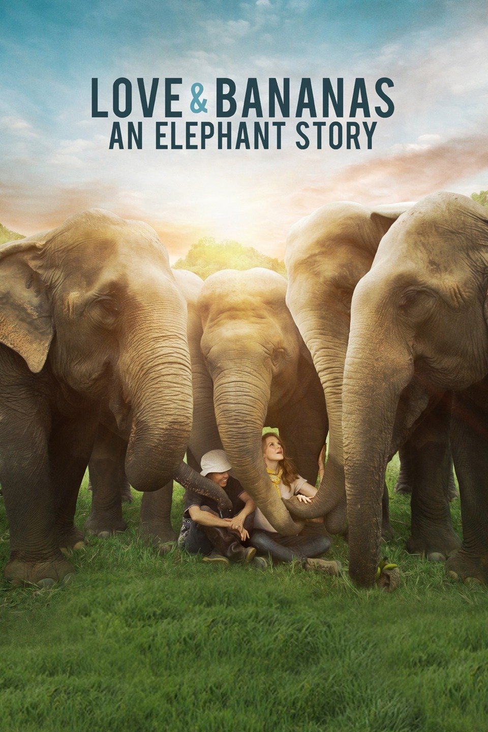 Oglądaj Love & Bananas: An Elephant Story