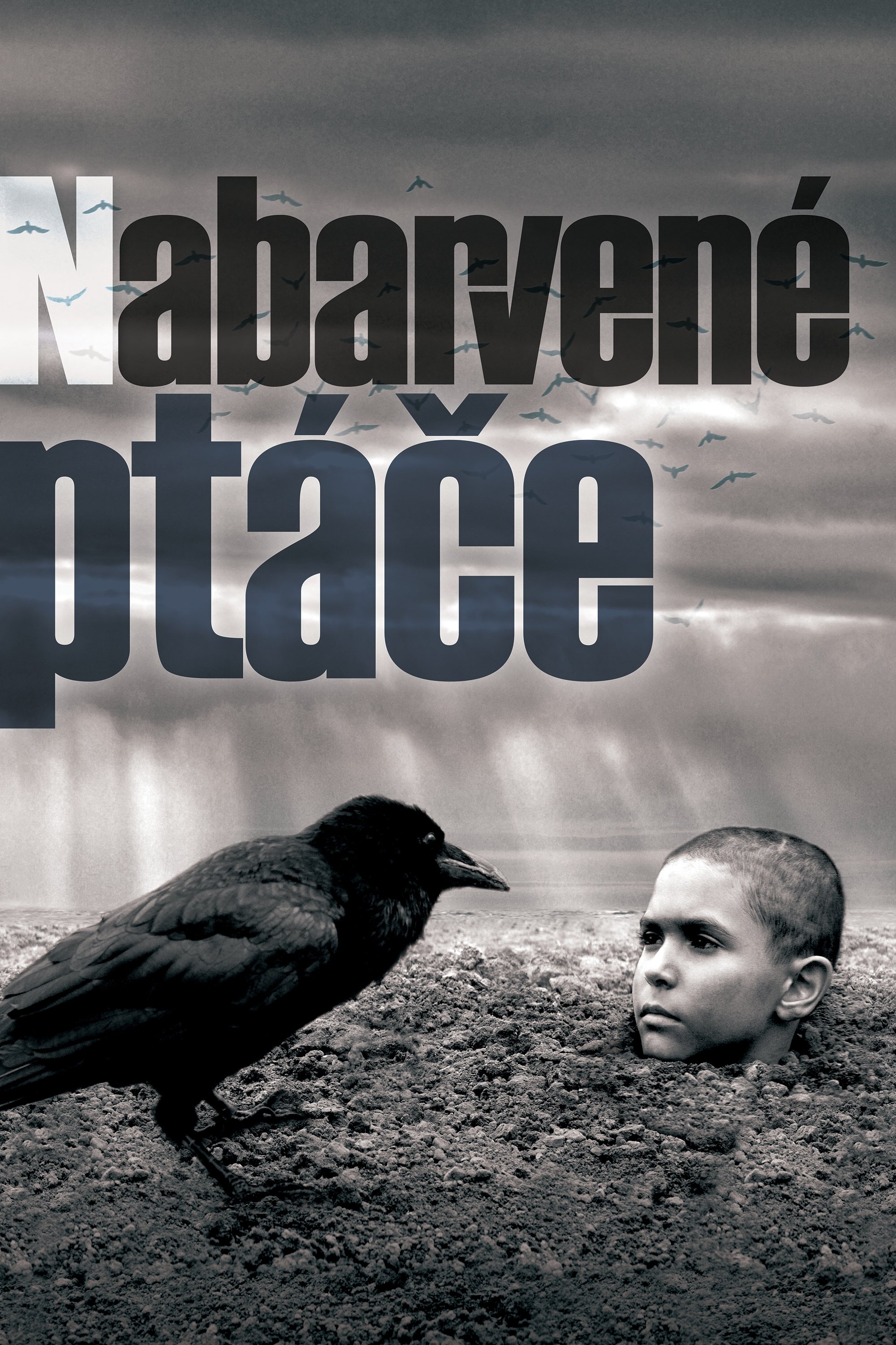 Oglądaj Malowany ptak