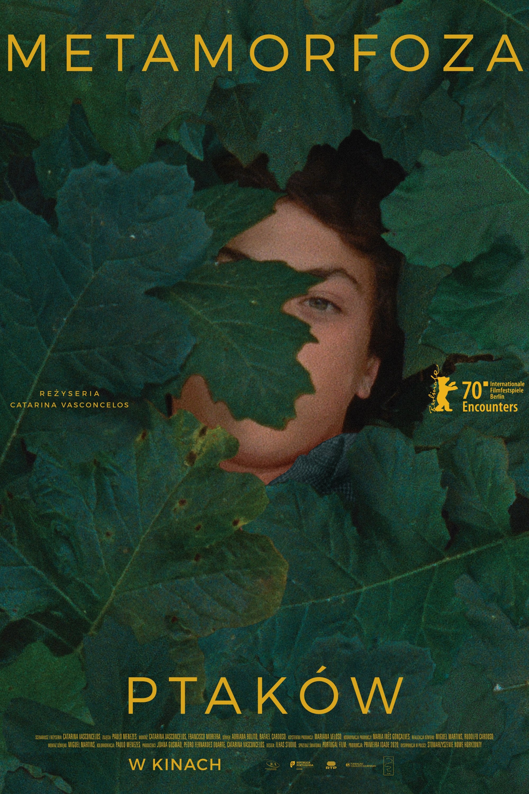 Oglądaj Metamorfoza ptaków