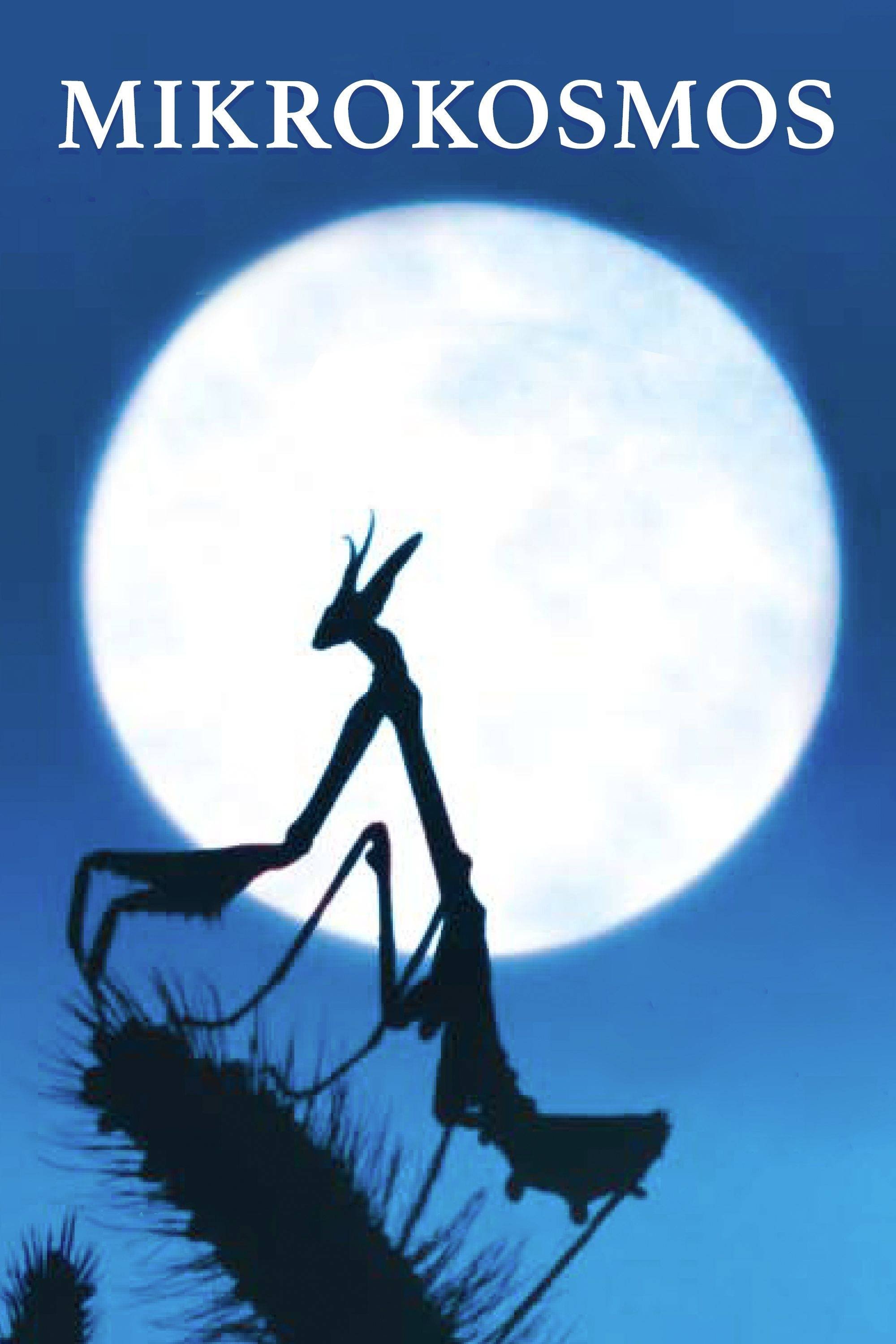 Oglądaj Mikrokosmos