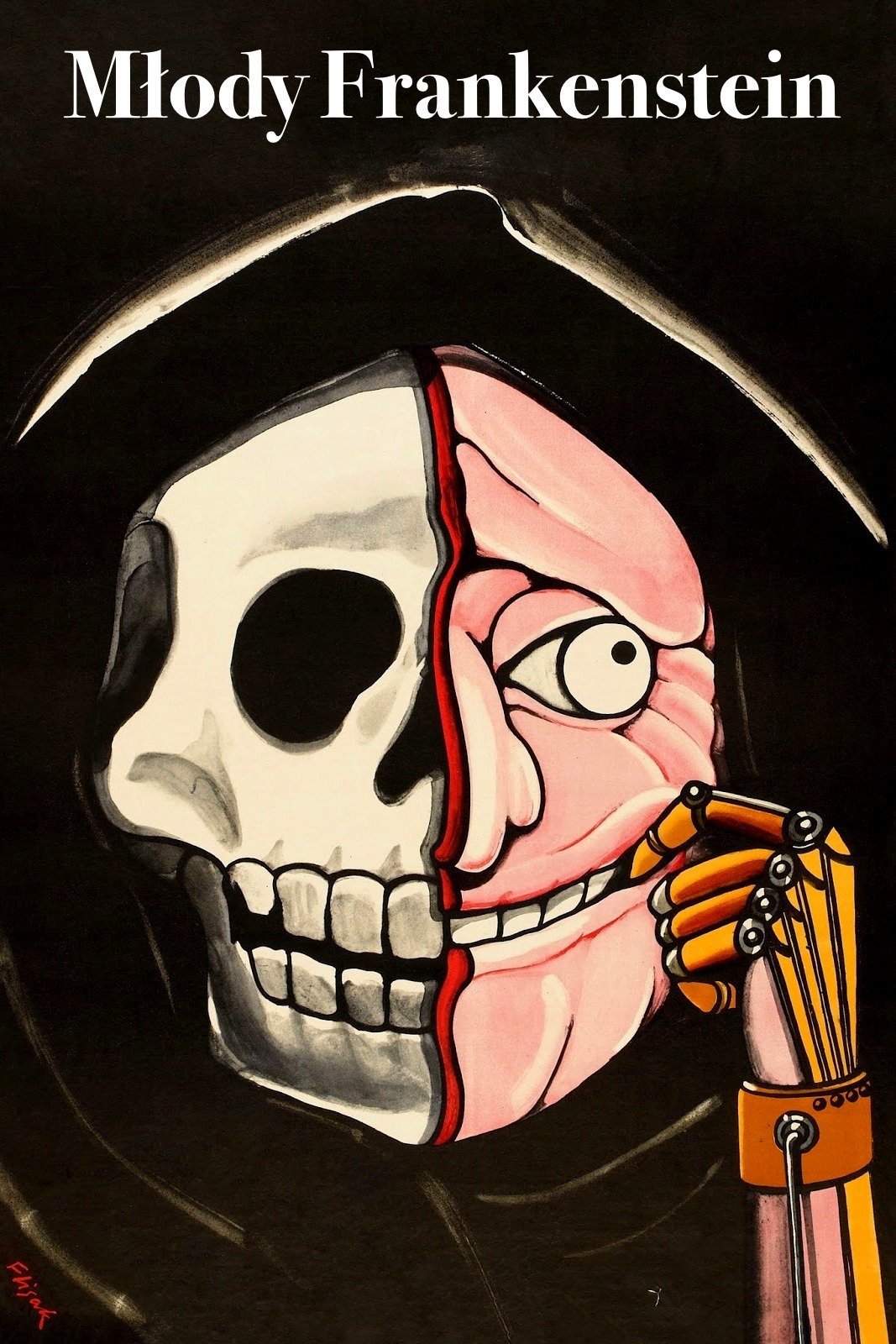 Oglądaj Młody Frankenstein