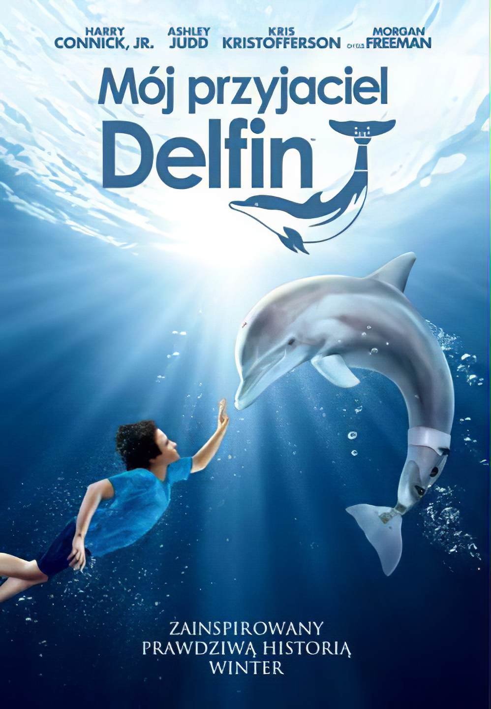 Oglądaj Mój przyjaciel Delfin