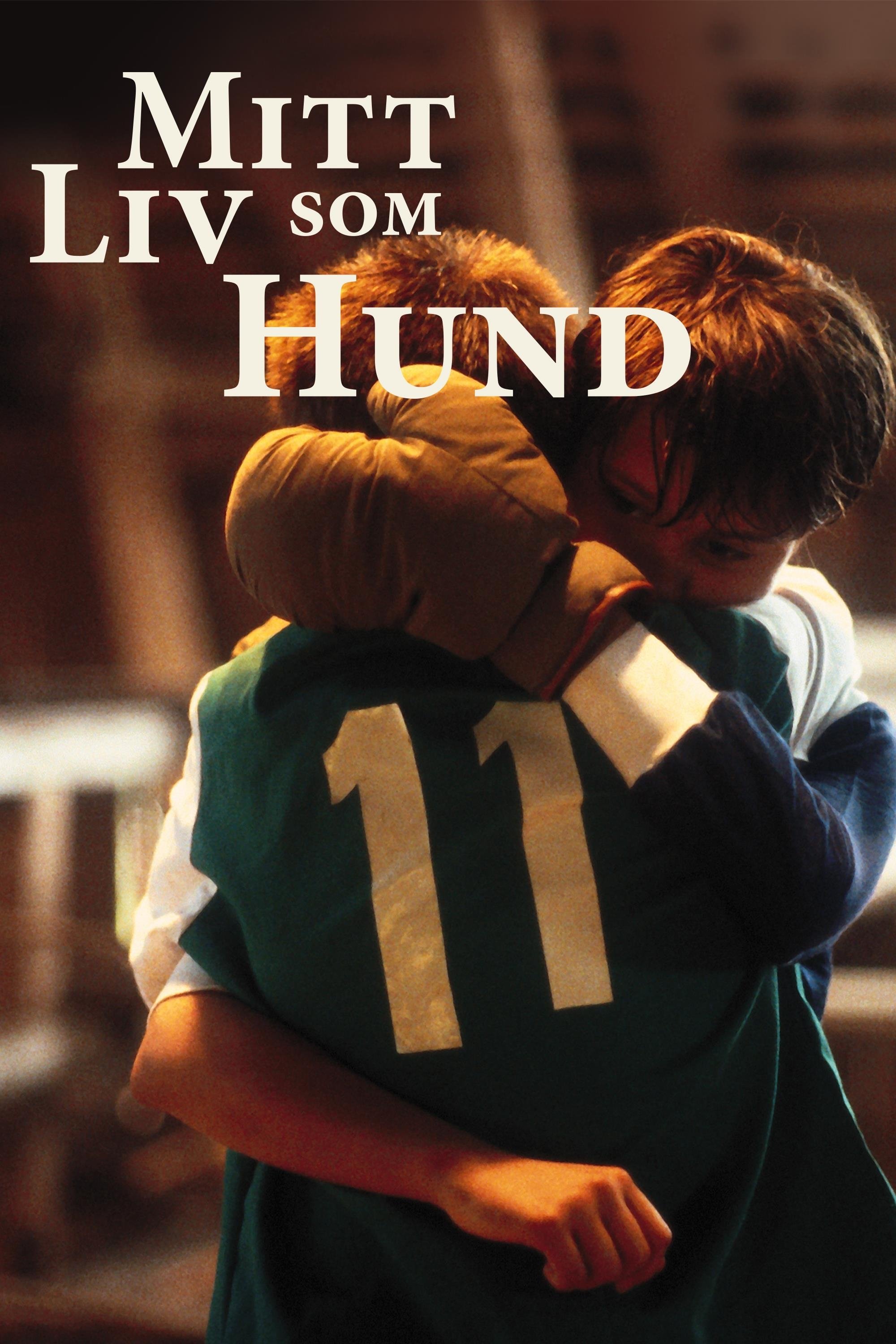 Oglądaj Moje pieskie życie