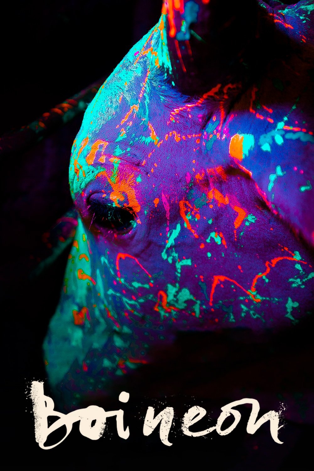 Oglądaj Neonowy byk